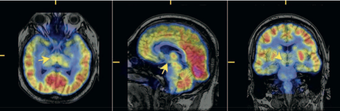 visuel-recherche-scientifique