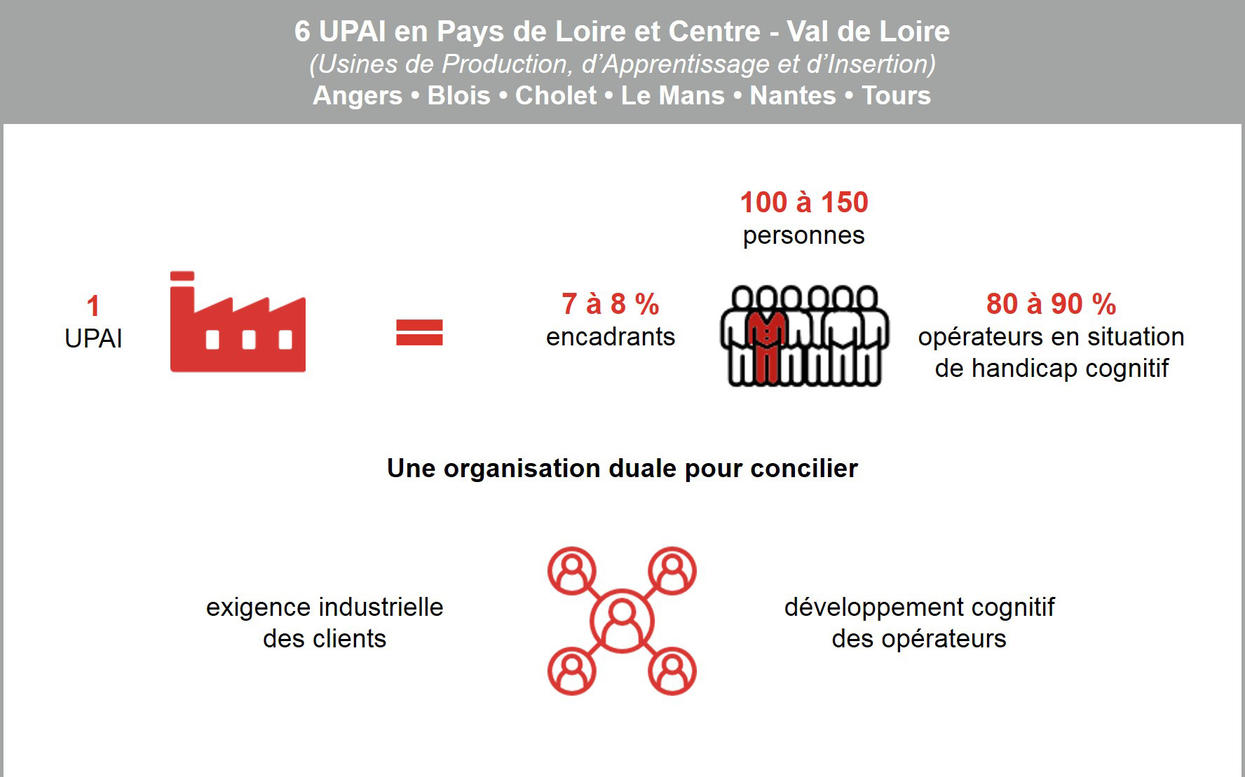 Infographie P2