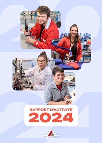 rapport activité AMIPI 2024