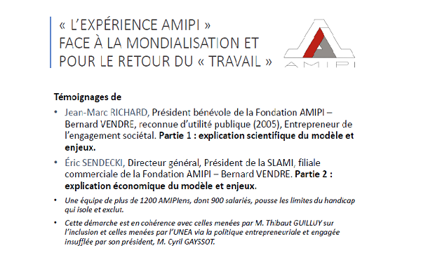 webinaire l'expérience AMIPI